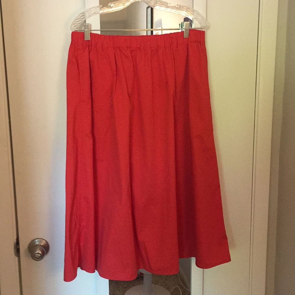 Clean Cotton A-Line Skirt from Everlane XL